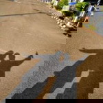 Reni Wahyuni profile icon