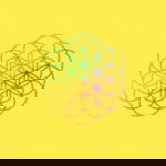 revy ardiani profile icon