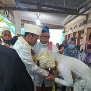 Badi'Hamidiyah Badi'Hamidiyah profile icon