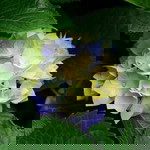 rudza rudza profile icon