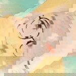 Anindya Sylvie profile icon