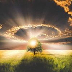 Che Manalo profile icon