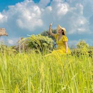 Bell Piyawan profile icon