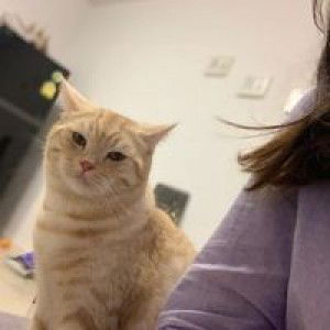 Abbie Aor profile icon