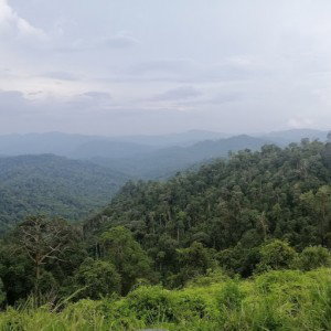 Atikah AR profile icon