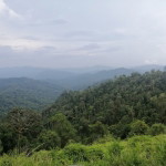 Atikah AR profile icon