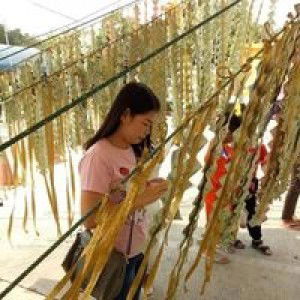 Numfon Ninratkum profile icon