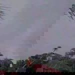 Sara Banu Apriliand profile icon