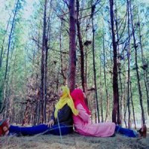 Arifah Hamid profile icon