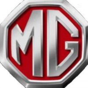 Anne Chan profile icon