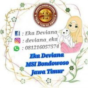 Eka Deviana profile icon