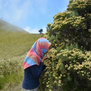 Dian Ratna profile icon