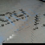 Rini/wardoyo profile icon