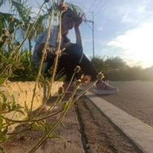 Cristine Acido profile icon