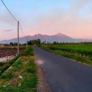 khadijah 1203 profile icon