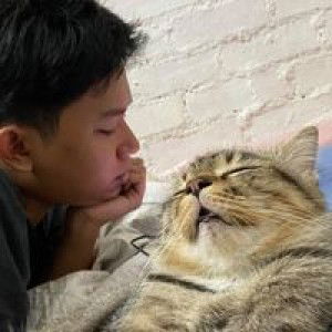 Nur Alya profile icon