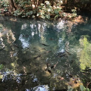 Maveam Haster profile icon