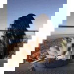 Rindiyani profile icon