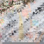 Anisasya profile icon