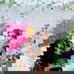 Sulisyafitri profile icon