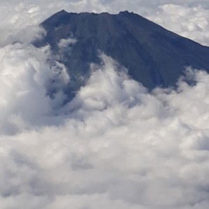 Nurwahidahtul Iman profile icon