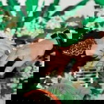 Nawariah Baraheng profile icon