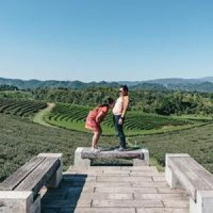 Pat Atcha profile icon