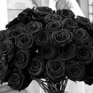 Nita Suryani profile icon