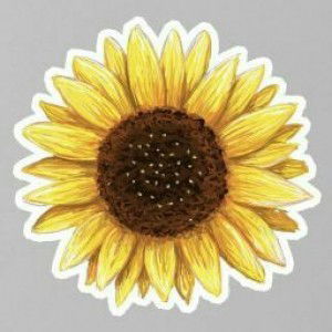 Nailya. Rahma88 (nelly) profile icon