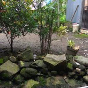 Zainah Winda profile icon