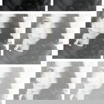 Elynda Handayani profile icon