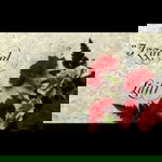 Izzaatul Laili profile icon