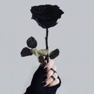 Eliza Ghania profile icon