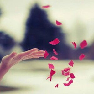 Tatu Kholifah profile icon