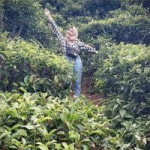 Ika Yuliana profile icon