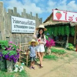 Supranee KG profile icon