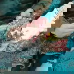 شريفه وان درحمن profile icon