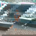 Mae Ann P. Villarez profile icon