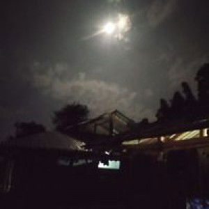 Kim Tuyến profile icon