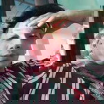 Dan Mangubat profile icon