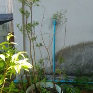 Topeye Bunsuktong profile icon