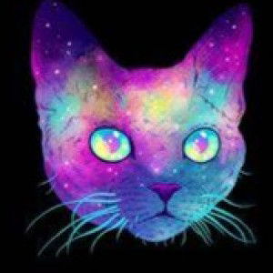 Sonya Ssi profile icon