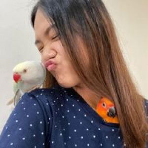 Ninrat Wangphadungkiat profile icon