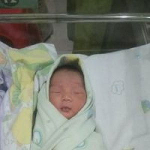 Kenanx Komo profile icon