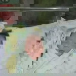 Kenanx Komo profile icon