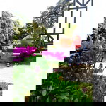 siti nur farrisya profile icon