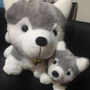 Calla Lily profile icon