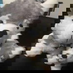 Calla Lily profile icon