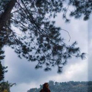 Ma'rifah profile icon