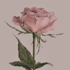 Rina Wahyuni profile icon